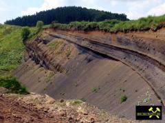 Schlackegrube nördlich des Nerother Kopf bei Oberstadtfeld, Vulkaneifel, Rheinland-Pfalz, (D) (1) 01. Juni 2014.JPG
